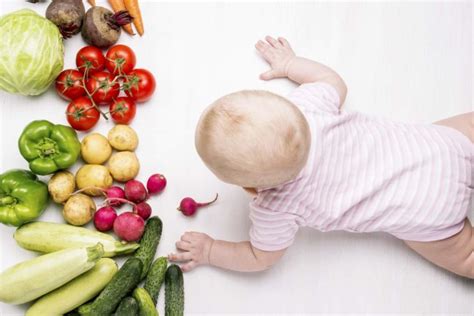 Brot für baby ab wann. Ab wann dürfen Babys Kartoffeln essen? | Babyled Weaning