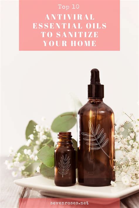 Top 10 Antiviral Essential Oils To Diffuse To Sanitize Your Home Seven Roses