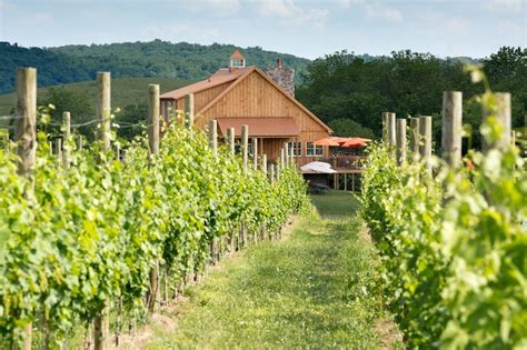 We Are Northern Virginias Premier Winery Tour Operator Sharing The