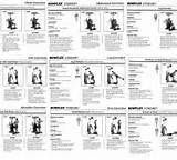 Workout Routine On Bowflex Images