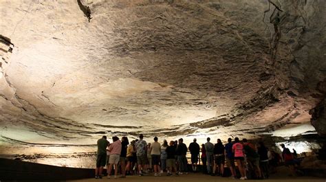 Mammoth Cave Offers Vacation 10 Million Years In The Making