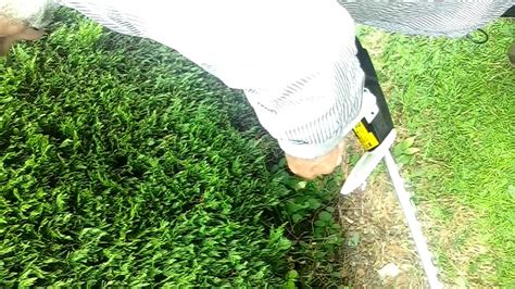It starts fine on the first pull. Hedge Trimmer Not Working - YouTube