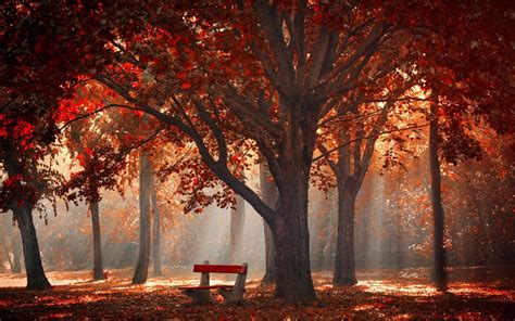 23 Awesome Autumn Sun Rays Wallpapers