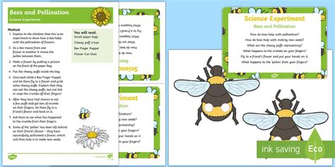 bee and pollination science experiment teacher made