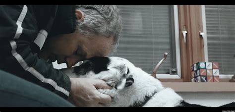 Enjoy the videos and music you love, upload original content, and share it all with friends, family, and the world on youtube. 'Man's Best Friend,' Short Film About A Man Losing His Dog ...
