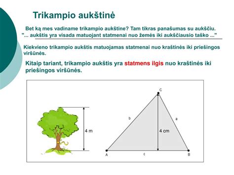 Ppt Trikampiai Powerpoint Presentation Free Download Id857068