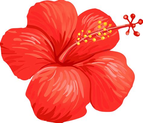 Tropical Hibiscus Flower Vector Flower Png Images Vector Flowers