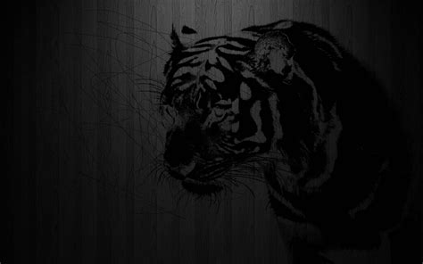 62 Black Wallpaper Hd Tiger Zflas