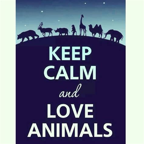 Keep Calm And Love Animals Animals And Pets Baby Animals Funny Animals