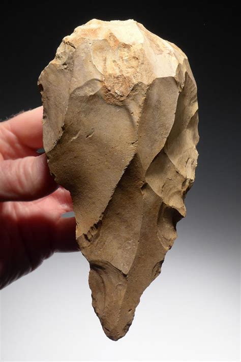 Arabian Paleolithic Stone Age Prehistoric Prestige Artifacts Hand Axe