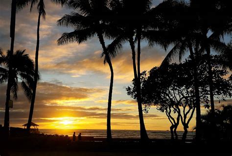 2月と10月のハワイ旅行には決定的な違いがありました ハワイプレス