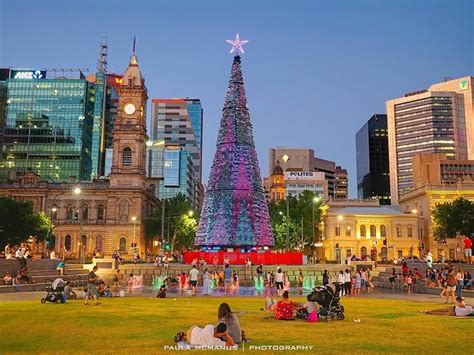 Lighting Of The Christmas Tree Adelaide