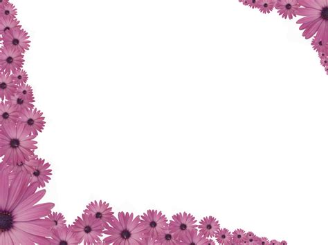 Pink Flowers Sprinkled At Corners Of Rectangular Powerpoint Transparent