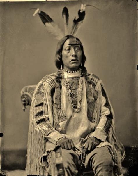 Mandan 1874 Native American Indians Native American History