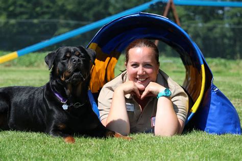 Trainer Hounds With Hannah York Dog Training School