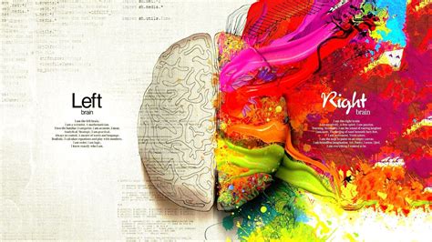 Left Or Right Brain Left Brain Right Brain Right Brain Brain Painting