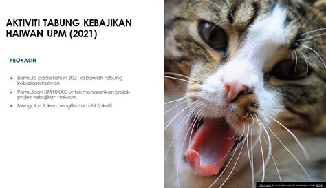 buku panduan kebajikan perubatan cawangan tanta buku panduan kebajikan oleh biro kebajikan (bcare) pct merupakan satu langkah besar malaysia kaherah (kbmk) 7.education malaysia egypt (eme) 8.direktori badan kebajikan negeri (bkan) 9.perkhidmatan yang disediakan. Kemaskini:: 31/12/2020 mjamil