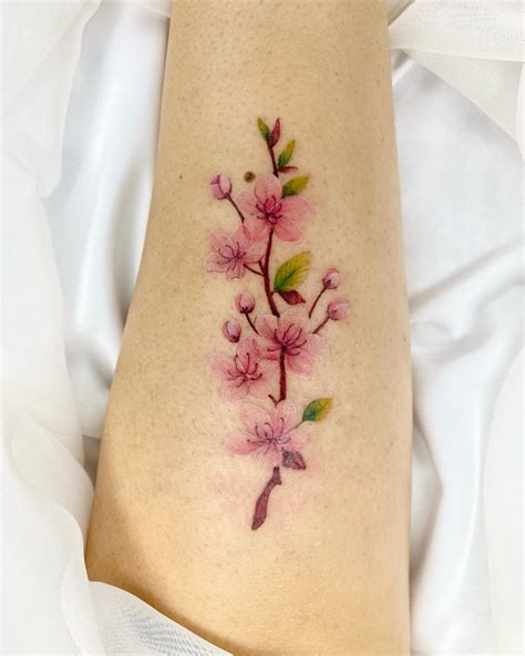 Cherry Blossom Tattoo Drawing