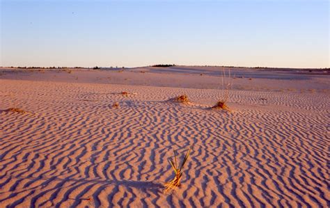 Athabasca Sand Dunes Amusing Planet
