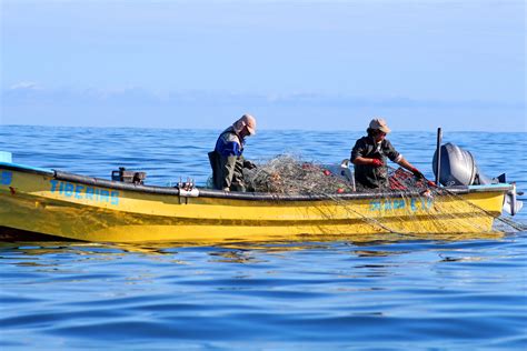 Centro Pesca Sustentable Promover Mejoras Continuas En La Pesca