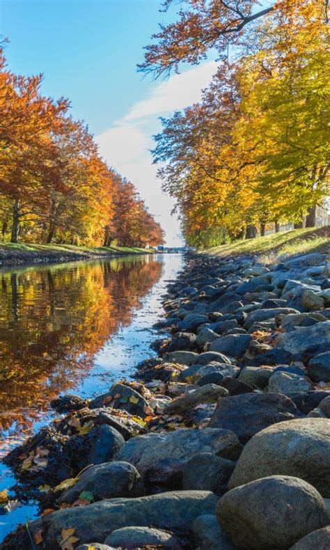 River With Stones Between Colorful Autumn Trees In Forest During