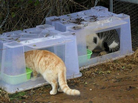 Need To Make These For The Colony Feral Cat Shelter Feral Cat House
