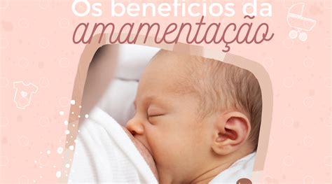 Os Benefícios Da Amamentação Para O Bebê Vida De Mãe