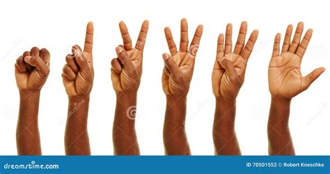 Hands Showing Numbers