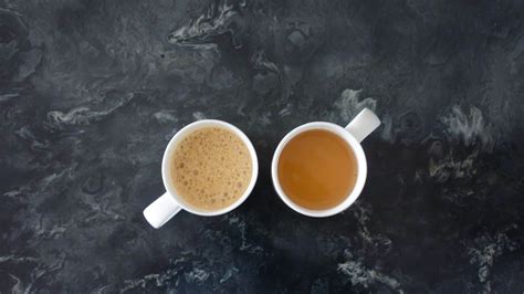 Green Tea Vs Coffee Which Is Right For You Freshcap Mushrooms