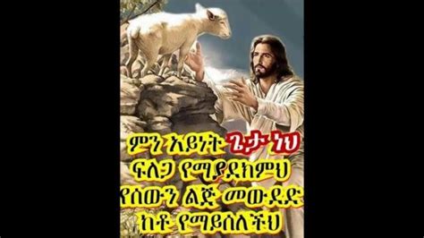 Amharic Orthodox Mezmur 2020 New Ethiopian Orthodox Mezmur Collection