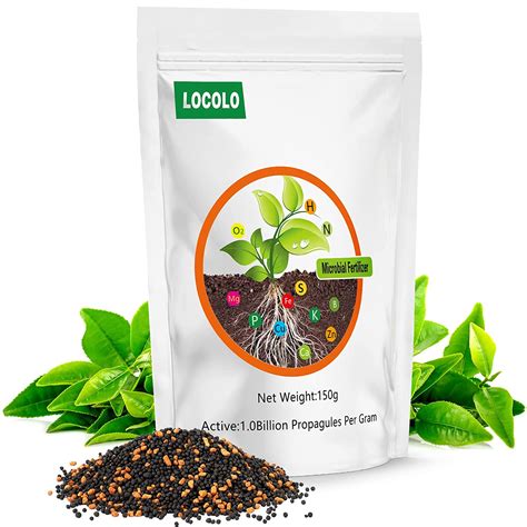 Mycorrhizal Inoculant Organic Mycorrhizal Fungi High