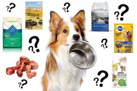 10 best dog foods in 2021 plus our picks for the worst. What is The Best Dog Food? | Sheltie Planet