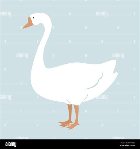 Cartoon Illustration Funny Goose Farm Hi Res Stock Photography And