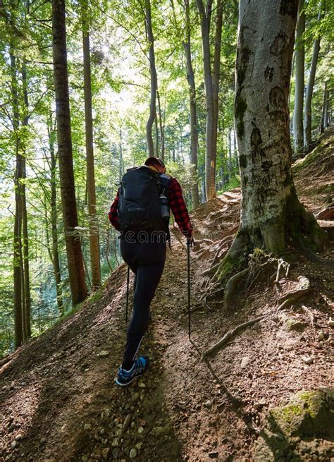 Backpacker Hiking Into The Woods Stock Image Image Of Mark Foliage