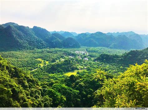 20 Vietnam Forests Mountains And Nature Attractions For Thrilling Getaways
