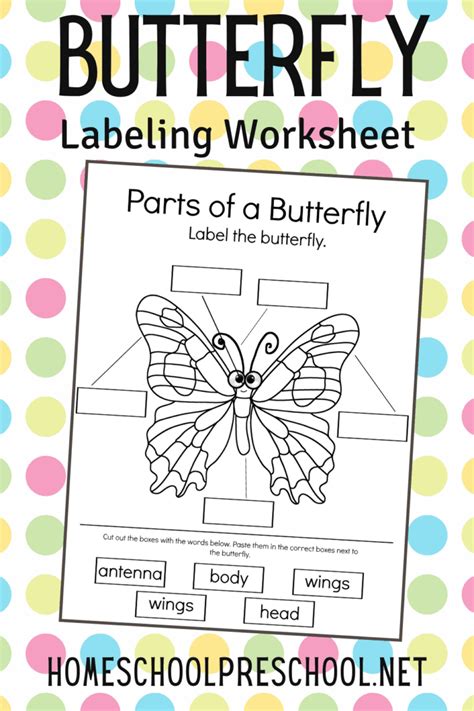 Printable Parts Of A Butterfly Worksheet For Preschool Butterfly Life
