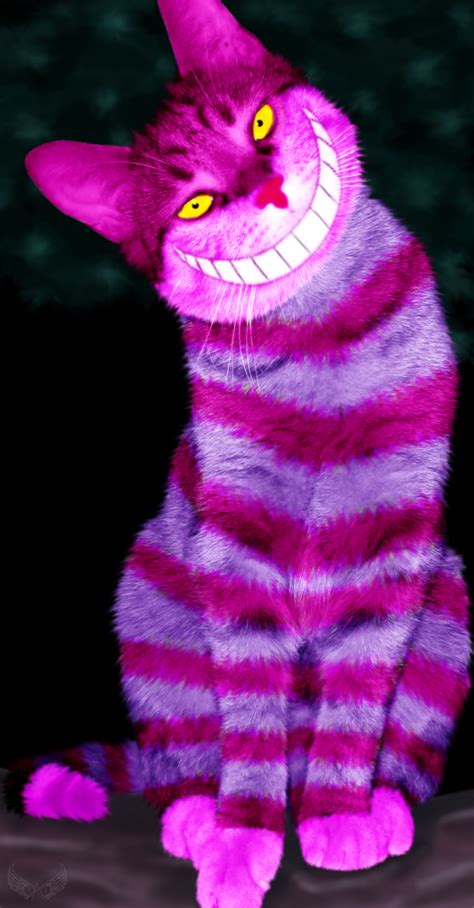 Cheshire Cat Thought This Was Awesome Cats