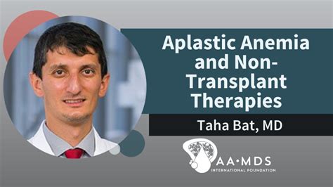 Aplastic Anemia And Non Transplant Therapies Aplastic Anemia And Mds