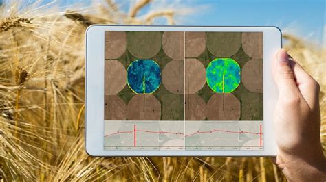 Airbus Adds Crop Growth Monitoring Service To Precision Farming