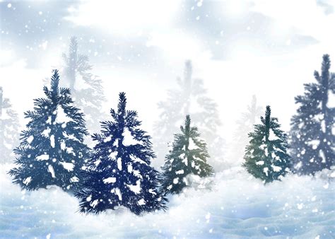 Invierno Bosque Nieve Fondo Nieve Pinos Deriva De Nieve Fondo De