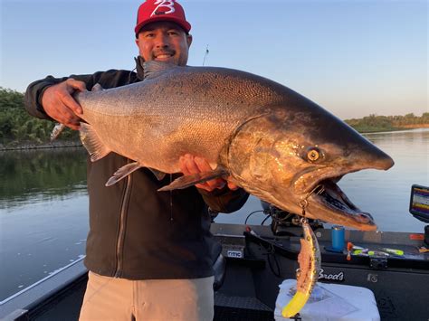 2022 Sacramento River Salmon Season Outlook — Jeff Goodwin Fishing