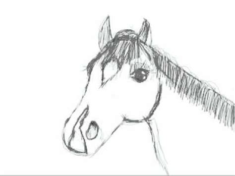 Paarden afbeeldingen tekeningen ly56 belbin in paardenhoofd. paardenhoofd x264 - YouTube