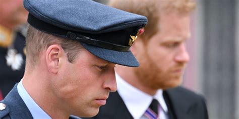 Prince Harry Claims Brother William Physically Attacked Him Over Meghan