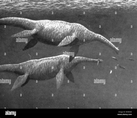 Peter Scotts Painting Of The Loch Ness Monster 1975 Stock Photo Alamy