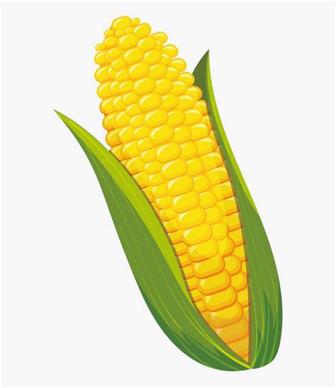 Corn Clipart Transparent Png Corn On The Cob Clipart Is A Free