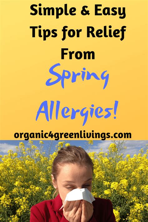 Easy Tips For Relieve From Spring Allergies