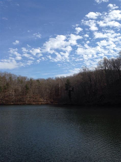 GREENBO LAKE STATE RESORT PARK (Greenup, KY) - tarifs 2024