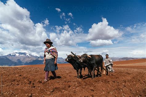 Indigenous Couple Farming By Stocksy Contributor Kike Arnaiz Stocksy