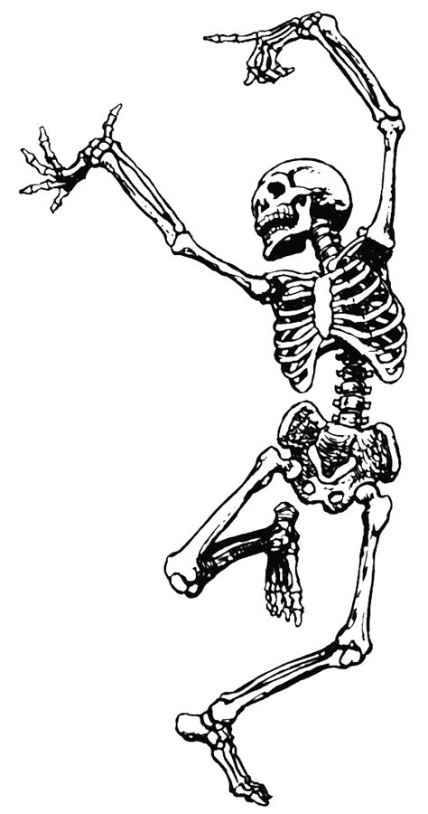 Download Dance Skeleton Human Skull Free Png Hq Hq Png Image In