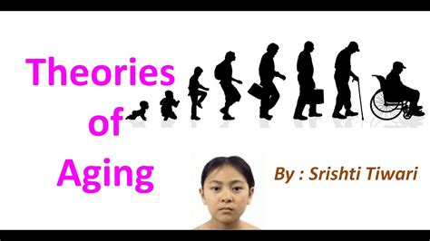 Theories Of Aging Why Do We Age Aging Classification Of Theory Of